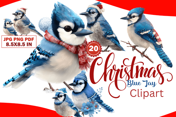 Choosing Christmas Blue Jay Clipart for Your Seasonal Projects