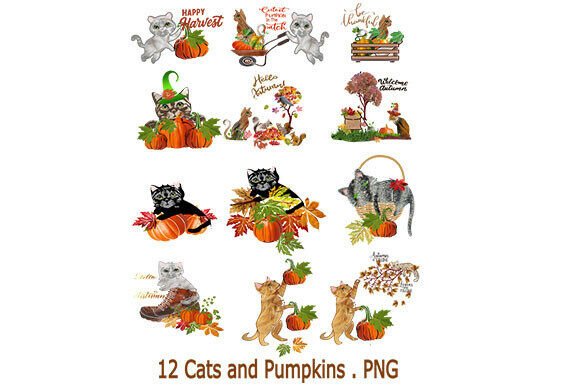 Embrace the Season: Discovering the Charm of 12 Autumn Cats and Pumpkin