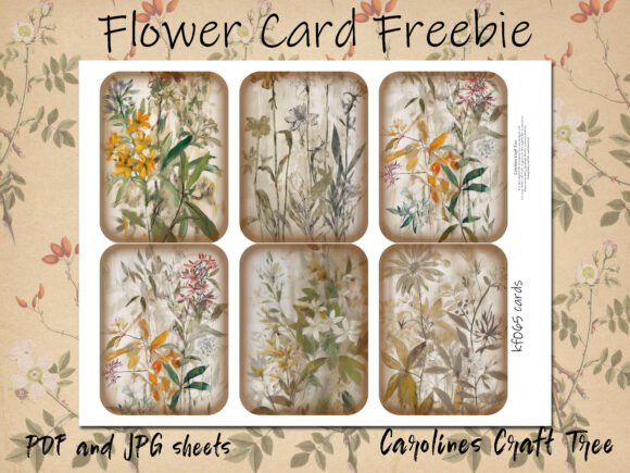 Wild Flower Freebie: A Practical Review for Designers and Creators